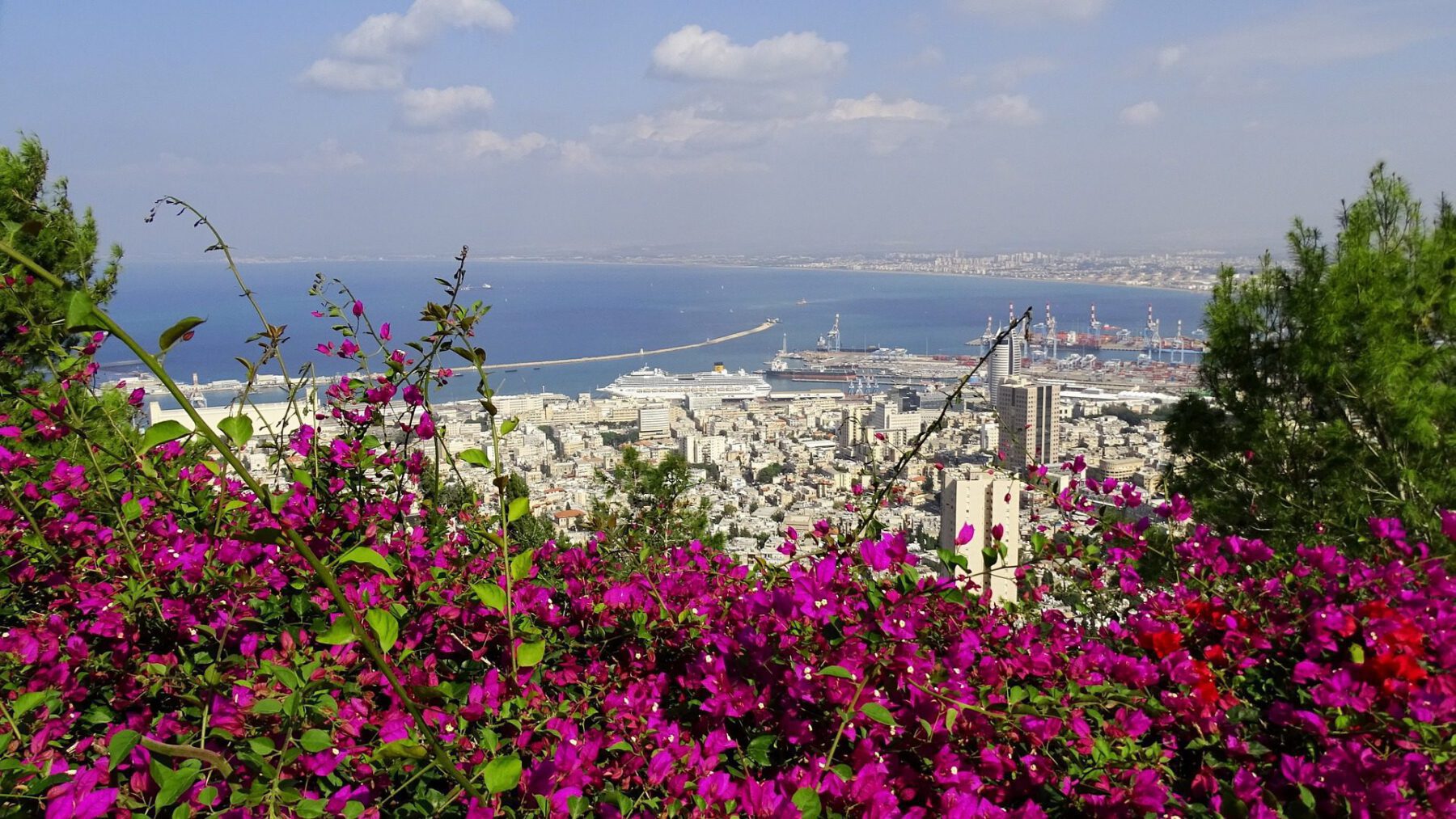 Read more about the article THE TOP 5 THINGS TO DO IN HAIFA