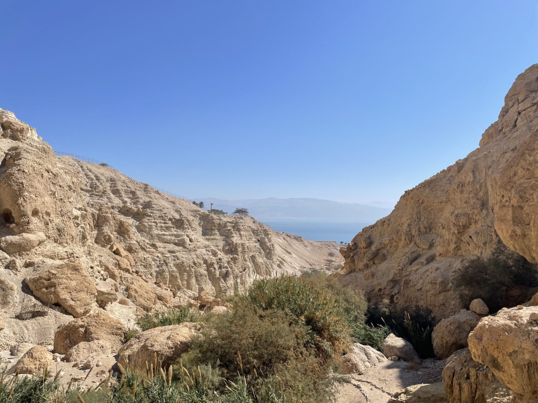 Read more about the article Ein Gedi – A Paradise in the Desert