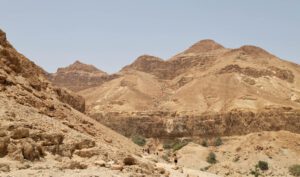 Ein Gedi National Park